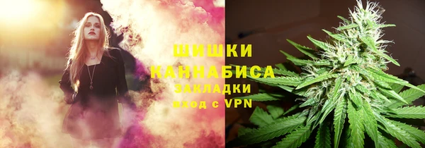 гашик Арсеньев