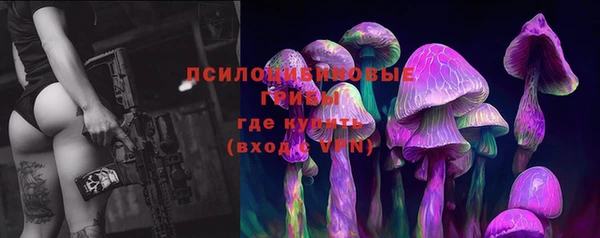 гашик Арсеньев