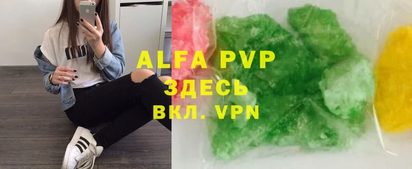 гашик Арсеньев