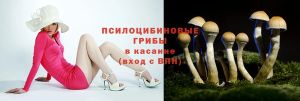гашик Арсеньев