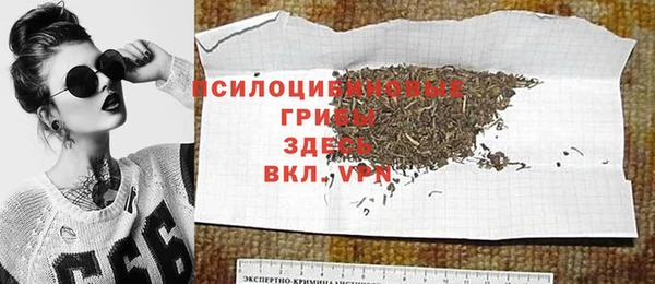 spice Осташков