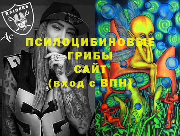 гашик Арсеньев
