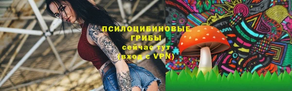 гашик Арсеньев