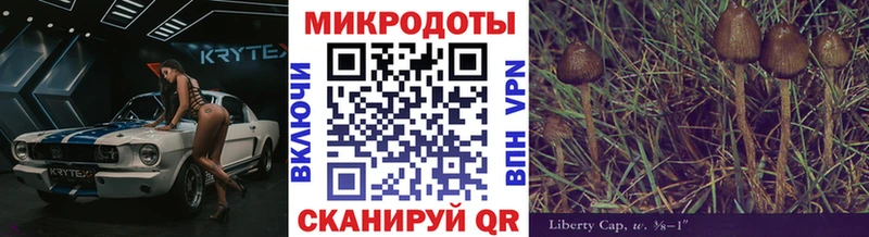 Псилоцибиновые грибы мицелий Переславль-Залесский